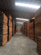 新貨到，雙發(fā)到新貨有紅玫瑰，黃玫瑰，紅花梨，紅紅火火，歡迎訂貨