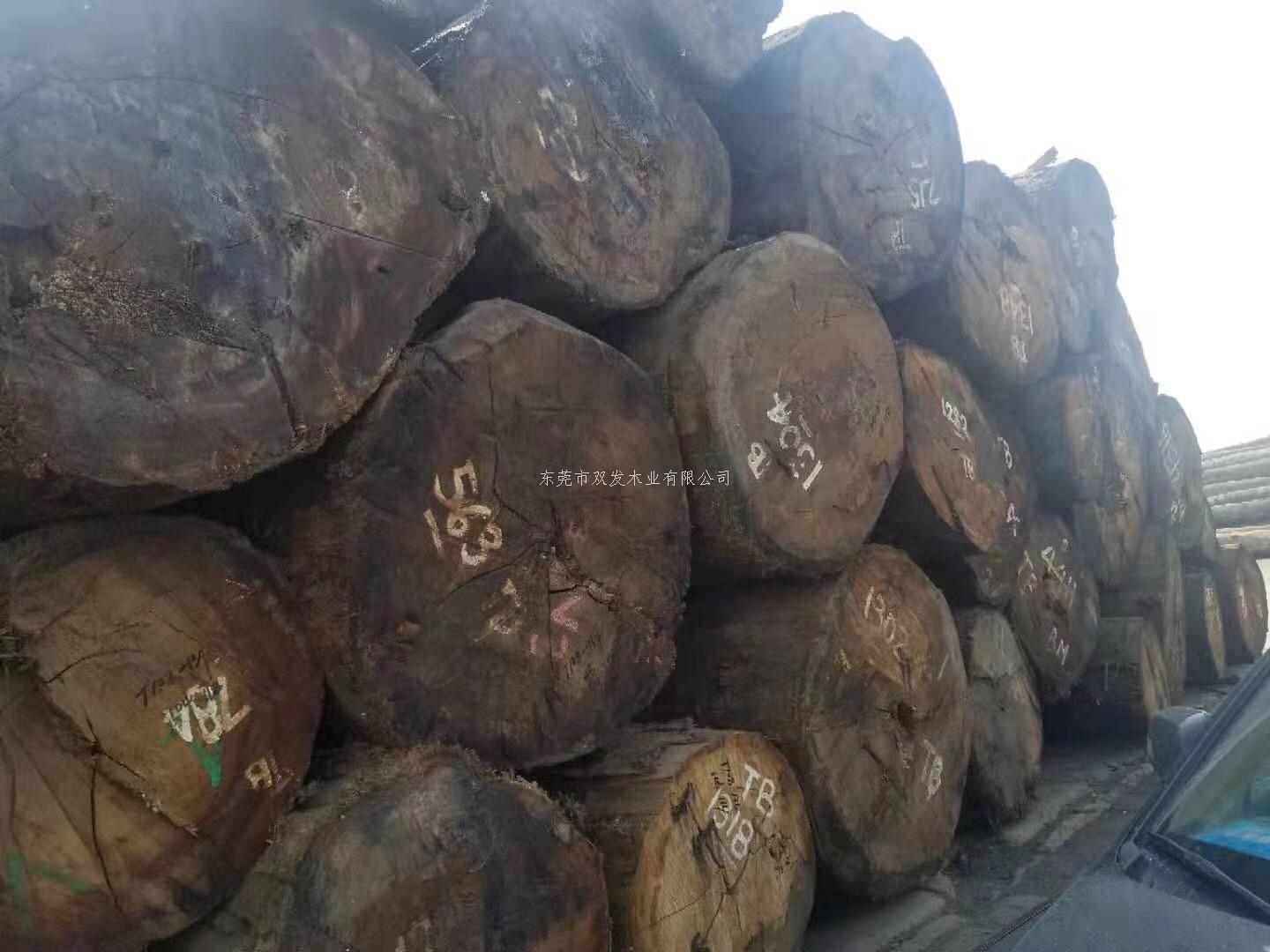 迎7月家具展，雙發(fā)木業(yè)原木加工進行中。。