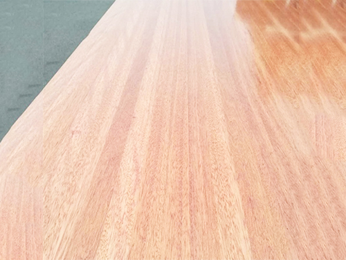 海棠木是一種什么木？